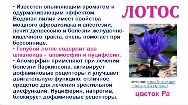 Тайна цветов для Тутанхамона смотреть онлайн