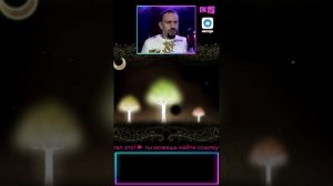 Забавные и не только моменты из наших видосиков с канала YOUTUBE https://www.youtube.com/@dkmateplay