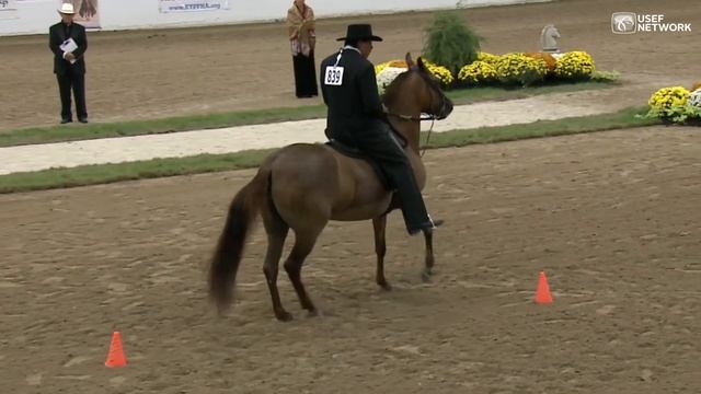 Best of 2014 - Paso Fino Horse Association Grand National Championship Show смотреть онлайн