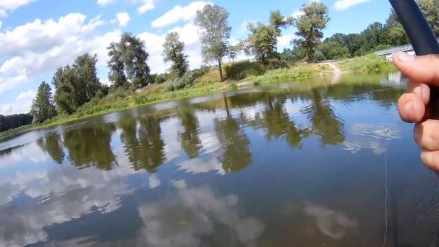 Ловля плотвы на пшеницу смотреть онлайн