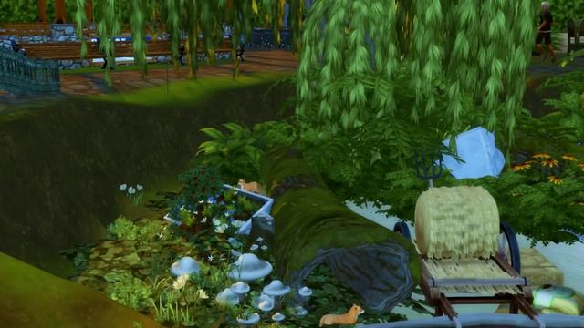 The Sims4 - Парк