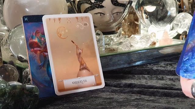 ALL SIGNS - CHRISTMAS END OF YEAR MESSAGES #WEEKLYTAROT смотреть онлайн