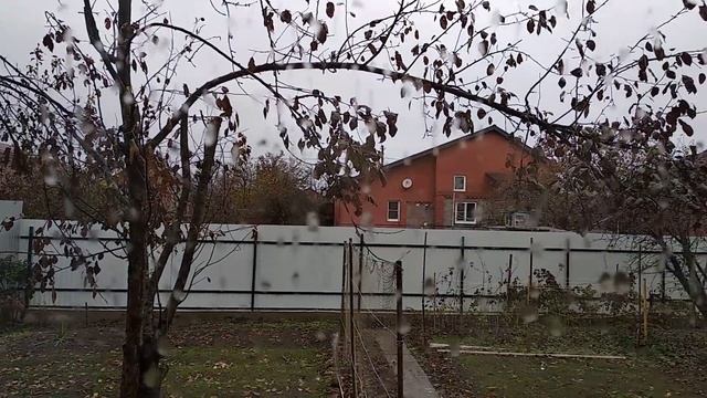 Погода в Краснодаре 28 ноября. Какая зима в Краснодаре. смотреть онлайн