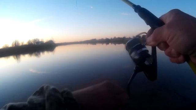 За грибами и за щукой в пойму с супругой.