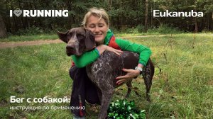 Бег с собакой: инструкция по применению. Лекторий от Eukanuba при поддержке I Love Running