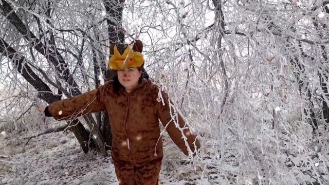 Зимняя сказка