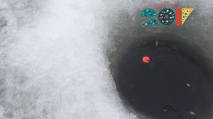 Как ловить леща зимой Где искать леща зимой На что ловить леща зимой Снасти на леща зимой