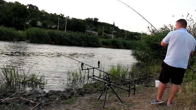 ТРОФЕЙНЫЙ САЗАН | ЛОВЛЮ САЗАНА на РЕКЕ!!!