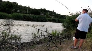 ТРОФЕЙНЫЙ САЗАН | ЛОВЛЮ САЗАНА на РЕКЕ!!!