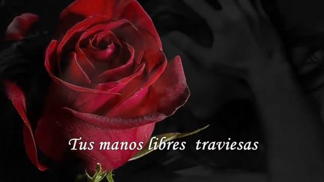 Hazme Sentir * María Conchita Alonso * смотреть онлайн