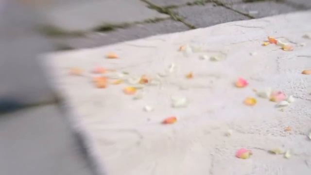 Дизайн - Салон "От Кутюр" Свадьба в коралловом цвете. смотреть онлайн