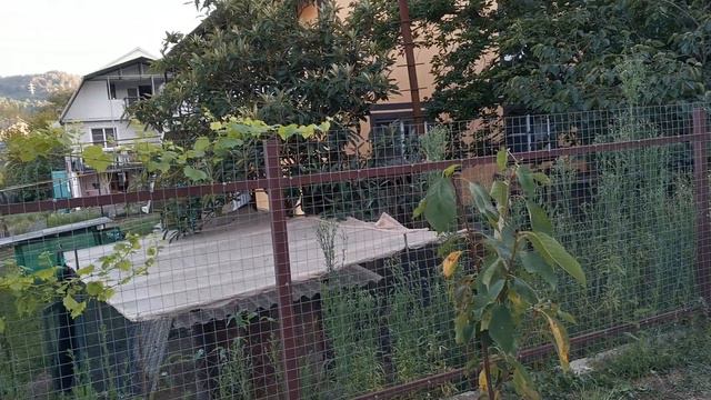 Сочи.Горное Лоо. Вечер.+22°C. 7.09.2022г.© смотреть онлайн