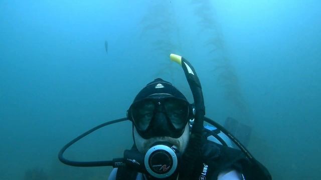 Diving Deer Creek in 2021 смотреть онлайн