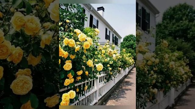 Характеристика человека рождённого 21 мая смотреть онлайн