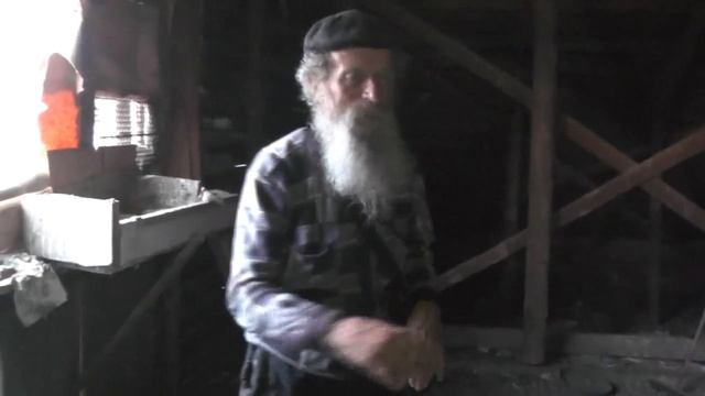 Переселение голубей с одной голубятни на другую – убыточное. 06. 07. 2017 смотреть онлайн