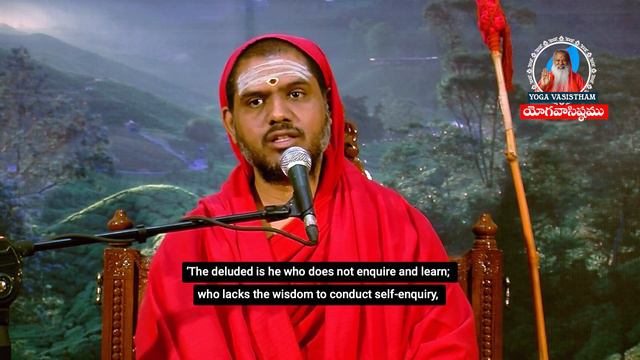 MVP || EPISODE 114 смотреть онлайн