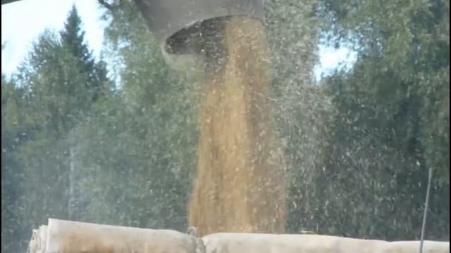 Пихтовка Воткинский р н Удмуртия смотреть онлайн