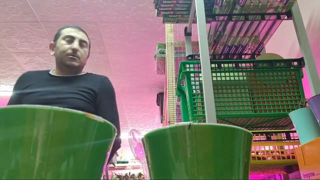 Что Делать Когда Ты ОРХОНУТЫЙ НА ВСЮ ГОЛОВУ? смотреть онлайн