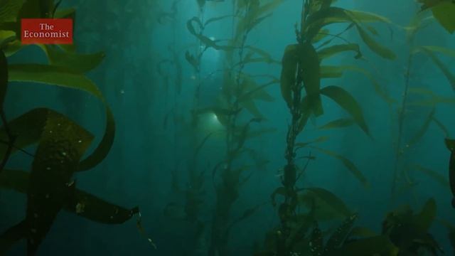 Can technology save the rarest creatures on the planet? смотреть онлайн