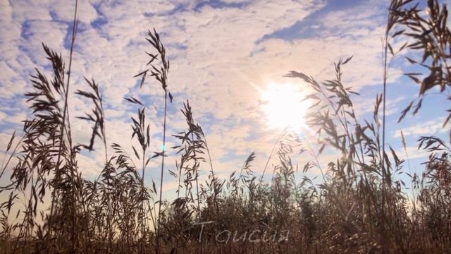 АФФИРМАЦИЯ на ЗДОРОВЬЕ | МЕДИТАЦИЯ смотреть онлайн