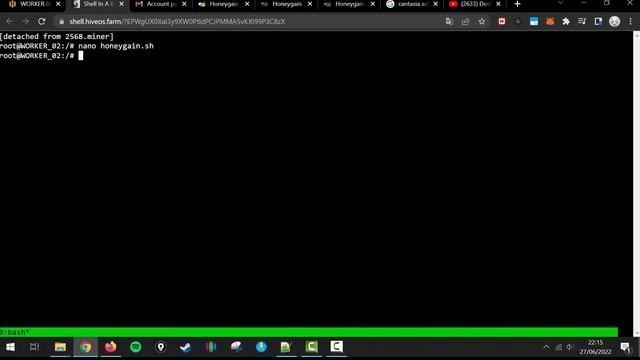 Tutorial Honeygain no HiveOS - RENDA PASSIVA ADICIONAL смотреть онлайн