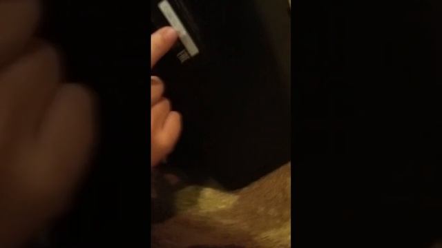 ЧТО ЭТО МОЯ КОЛОНКА??? смотреть онлайн