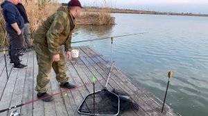 Рыбалка на Карпа и Сазана на платном водоеме, Ростовской области.