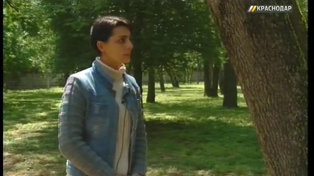 В Чистяковской роще Краснодара продезинфицируют деревья, атакованные ложногусеницей смотреть онлайн