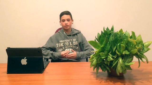 Новости: смартфон с экраном 120 герц?! Где нормальный калькулятор в IOS 11? смотреть онлайн