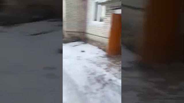 сураж 29 квартал о детских площадках и тротуарах смотреть онлайн