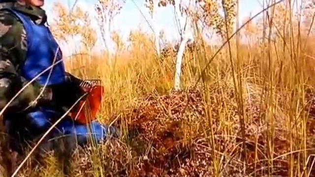 клюквенный рям смотреть онлайн
