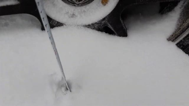 26 января 2019 г. Начало сильнейшего снегопада. смотреть онлайн