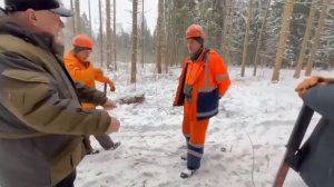 Бензопилы ZimAni MS361 и MS660. Работа в лесу