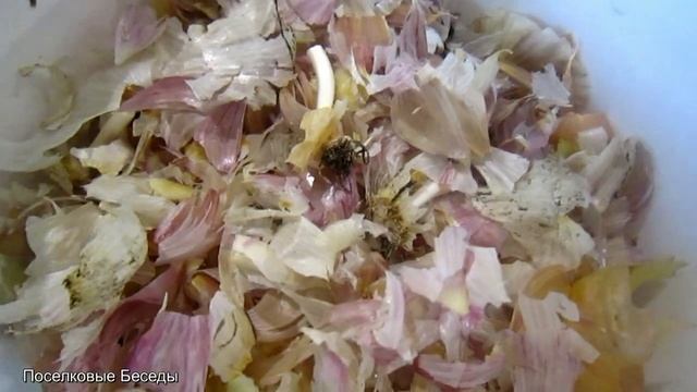 Секреты Мастера