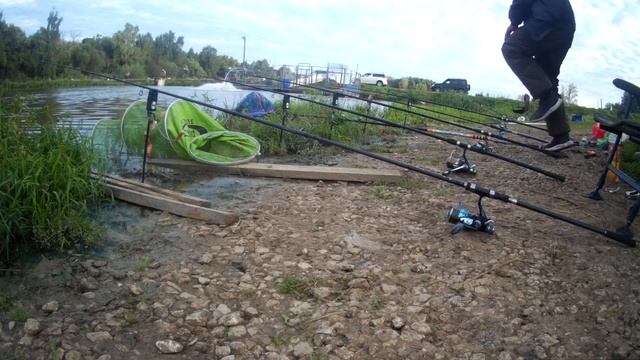 Осетр снова клюет.Ловля осетра на платнике смотреть онлайн