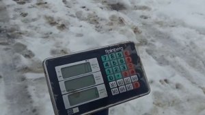 НА ГОРОХЕ СВИНЬИ НЕ РАСТУТ!!! 6.5 месяца - 150 кг. Свиноводство.