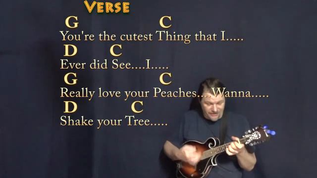 The Joker (Steve Miller) Mandolin Cover Lesson in G with Chords/Lyrics смотреть онлайн