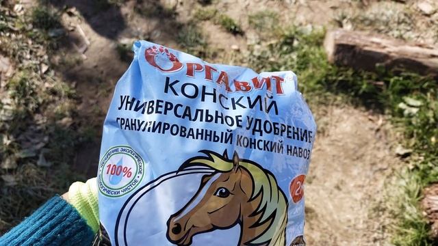 ОСЕННЯЯ ПОСАДКА РОЗ смотреть онлайн