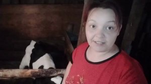 ПОНОС У ТЕЛЕНКА. ОТ ЭТОГО НАСТОЯ ПОНОС ПРОЙДЕТ ЗА СУТКИ!