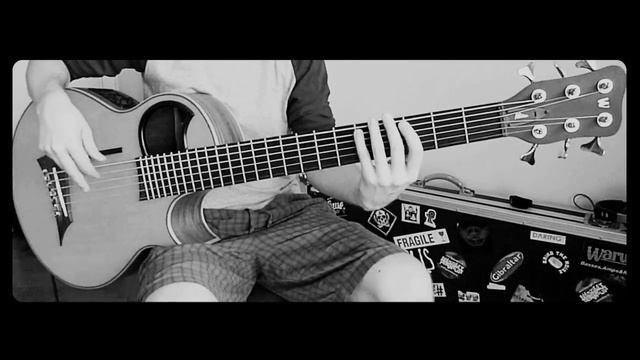 teardrop - on acoustic bass смотреть онлайн