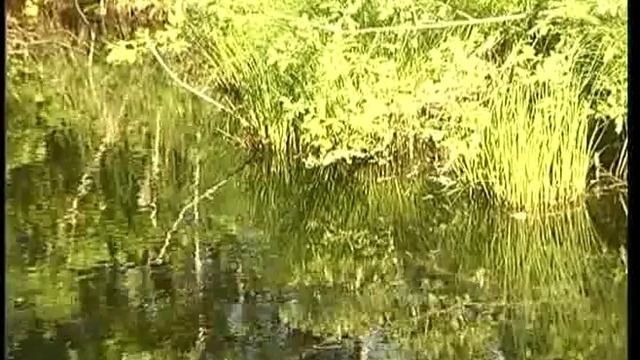ИСТОК ВОЛГИ - БОЛЬШАЯ ЭКСКУРСИЯ-1.5 - 2007 год смотреть онлайн