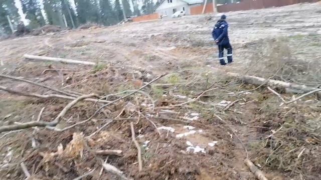 Гуляем??. Смотрим цены на ламинат. смотреть онлайн