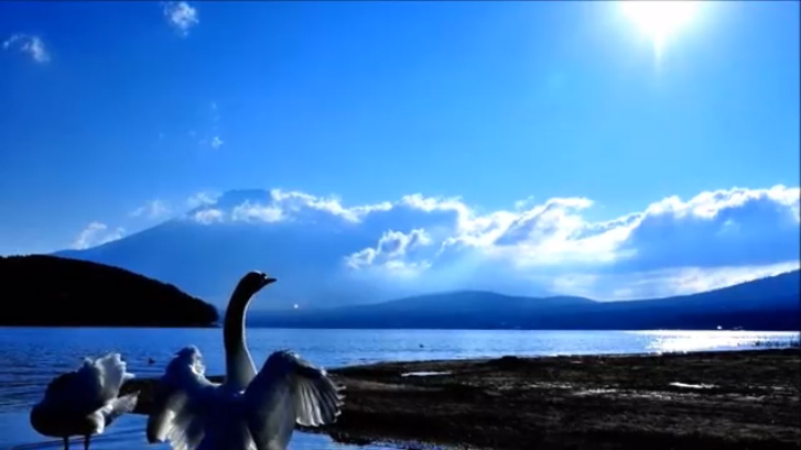 ОЗЕРА -Николай Носков смотреть онлайн