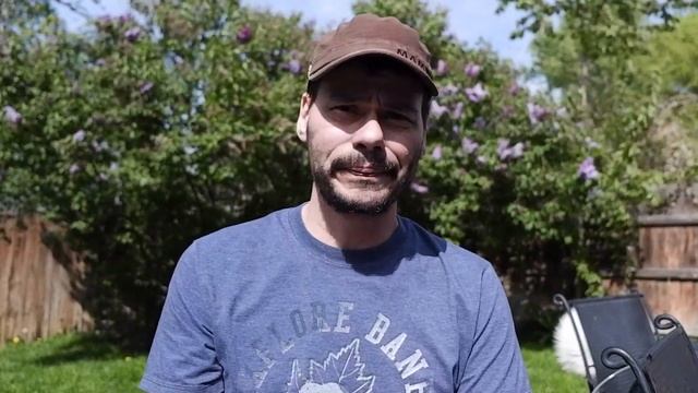 Video from the Fujifilm X-A5 in Sunlight 2019 firmware 2.0 смотреть онлайн