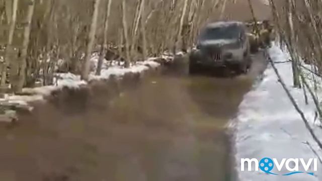 Audl Allroad и УАЗЫ с Нивами на бездорожье в лесу