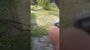 Как перетянуть потолок Опель Зафира