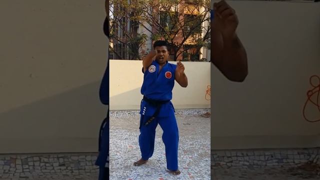 #kickboxing #vandamme #martialarts #scottadkins #unique #universe #speed #americansports #india