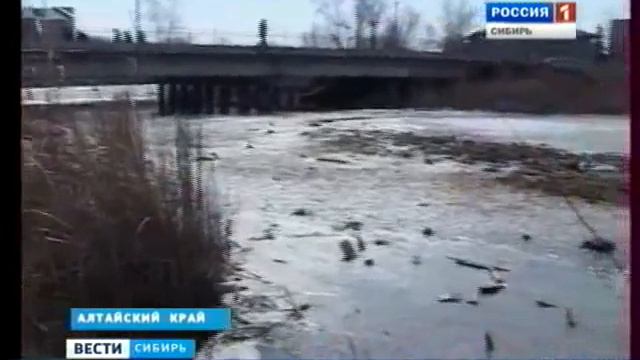 Мор рыбы на Алтае смотреть онлайн