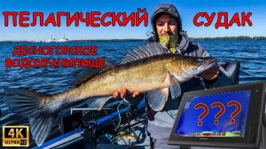 Ловля пилагического судака. Garmin LVS 62