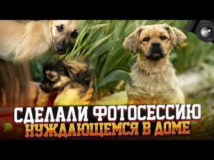 Чеснока(Тима) Чипируем Фотосессия новых хвостиков,Немного о Боне.